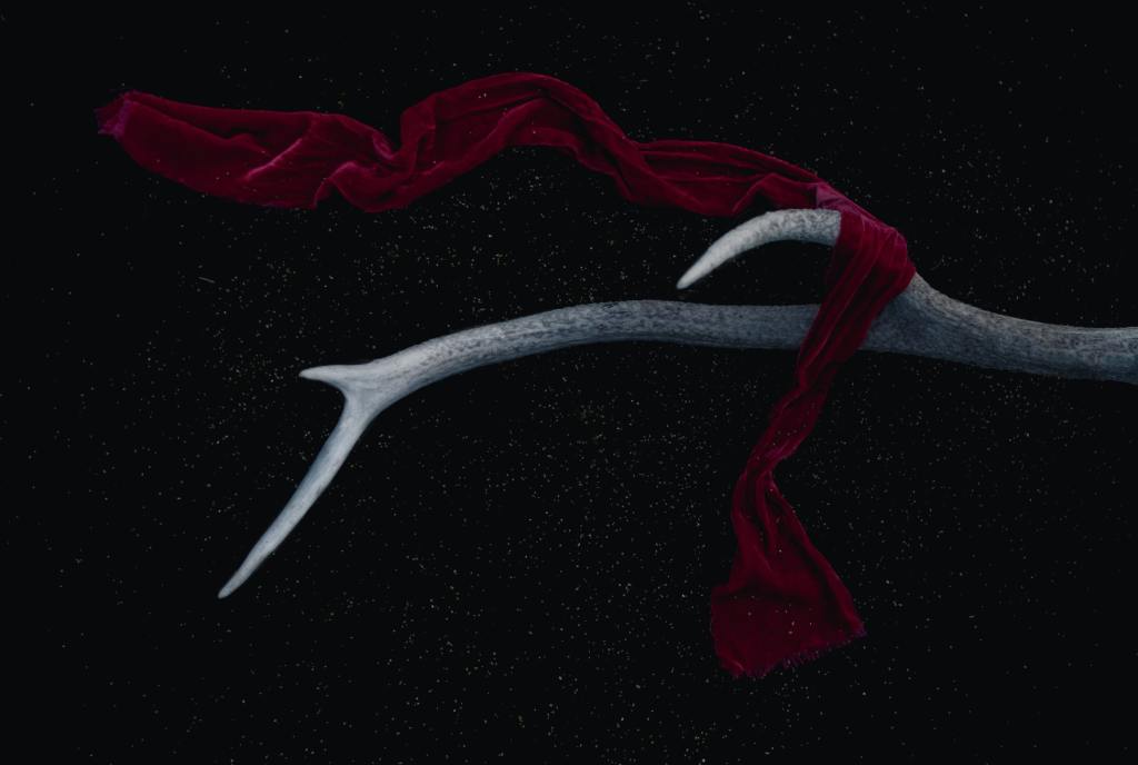 Moon in Scorpio – Mars in&nbsp;Aries