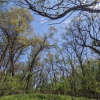 When you don’t know how to pray, hum