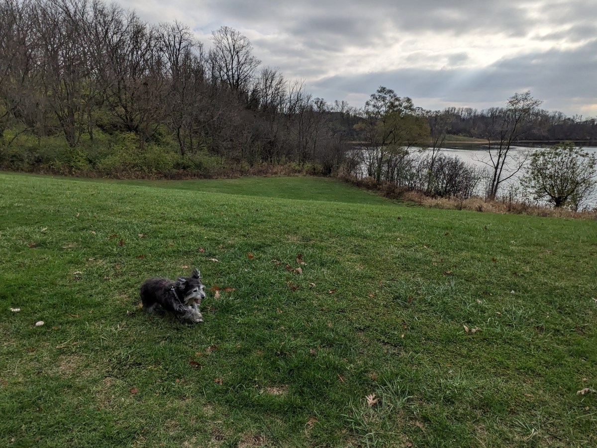 The Wheel of Fortune